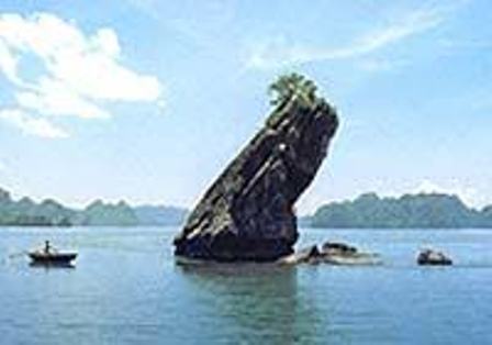 Frog shaped Island in Halong Bay